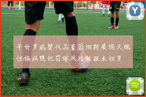 平价罗威替代品奎因坦斯展现天赋但伤病隐忧罚球风格致敬米切罗