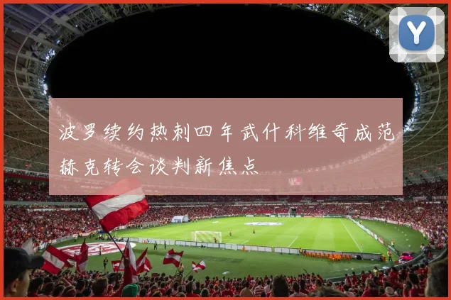 波罗续约热刺四年武什科维奇成范赫克转会谈判新焦点